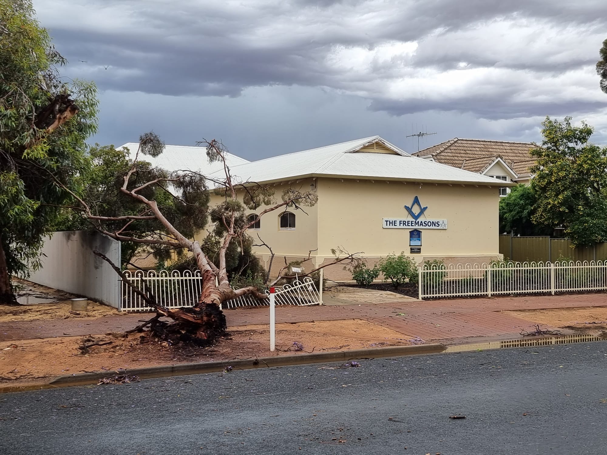 A fallen tree near the Freemasons Lodge on Ral Ral Avenue.