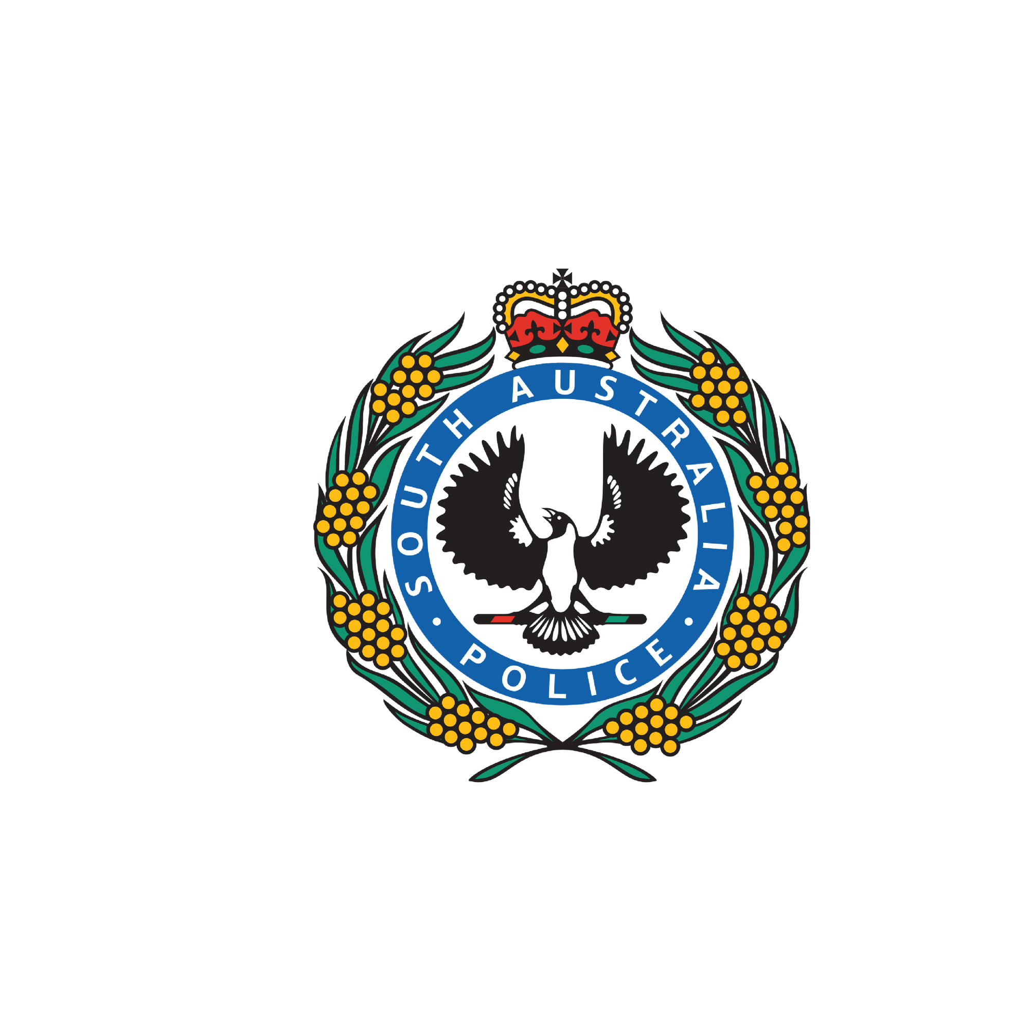 Tackling South Australian domestic violence abuse