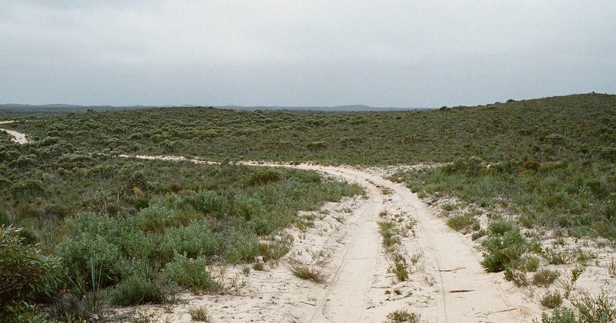 Prescribed burn tomorrow and Friday