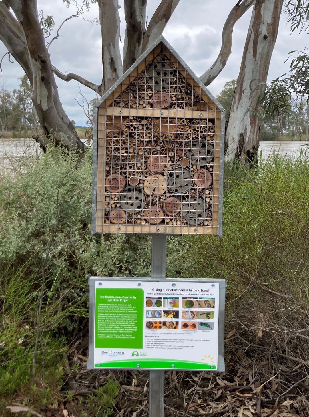 Berri Barmera buzzing about bee hotel hunt