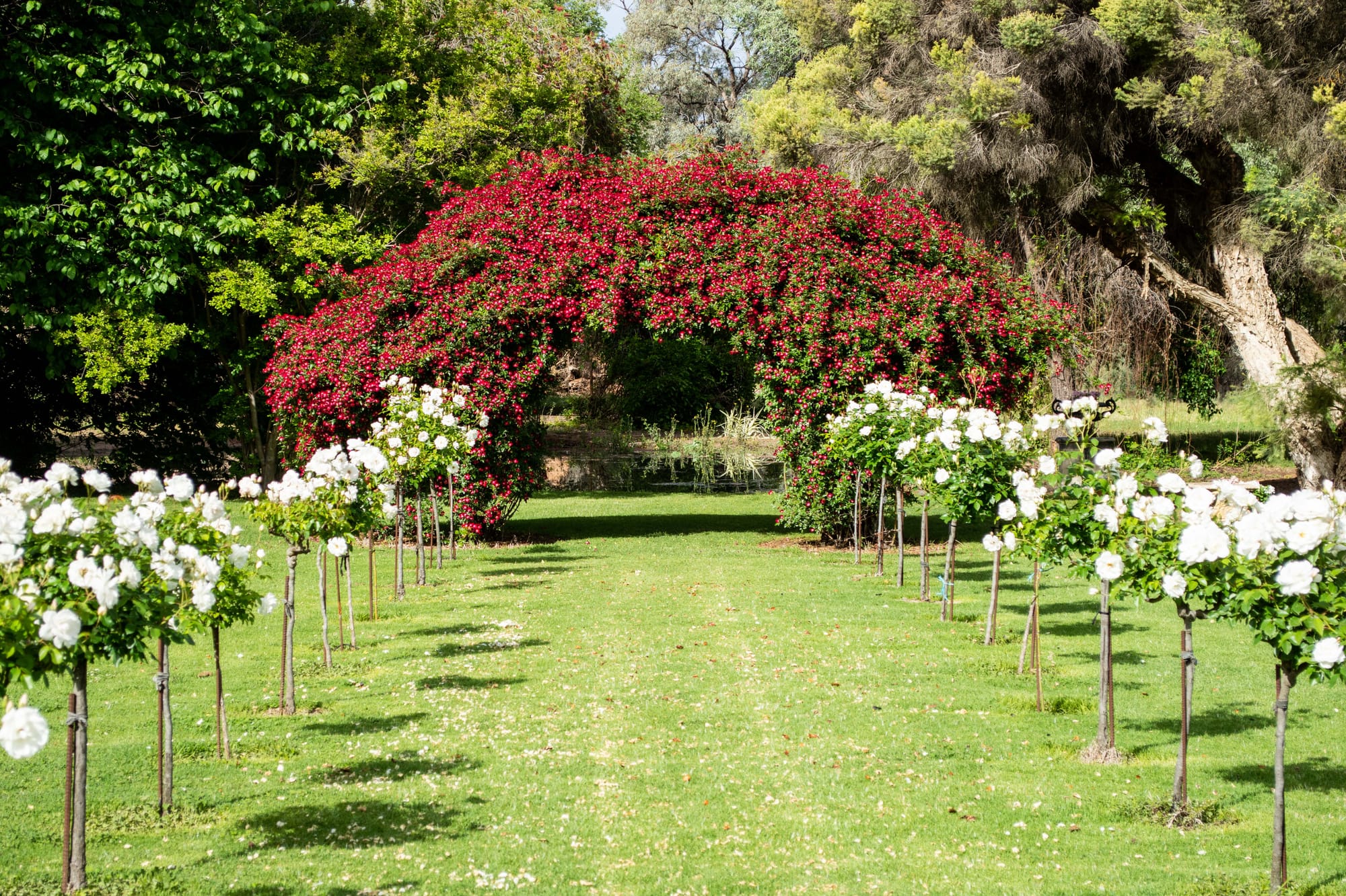 Open your garden for festival goers this October