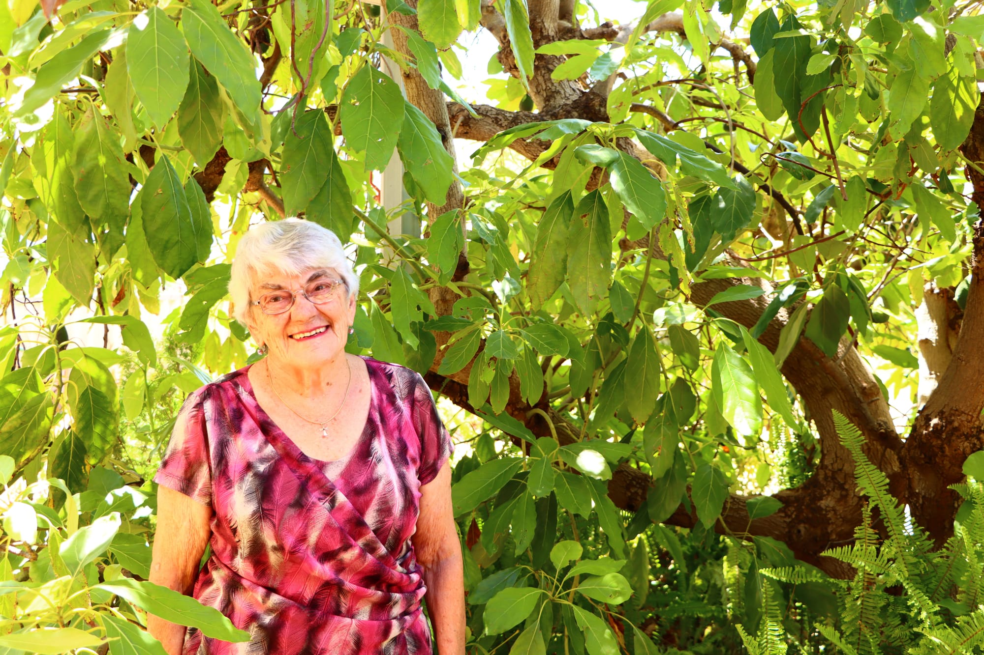 Compassionate Carmel earns Waikerie win