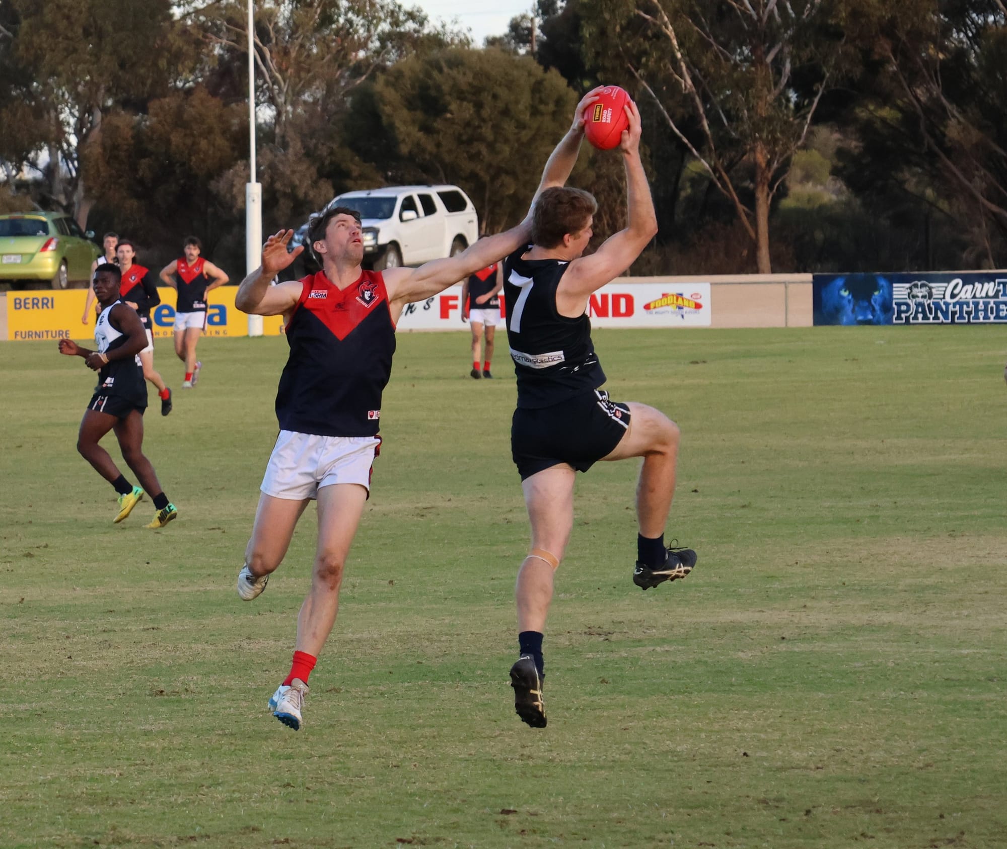 Panthers keep in touch with top four