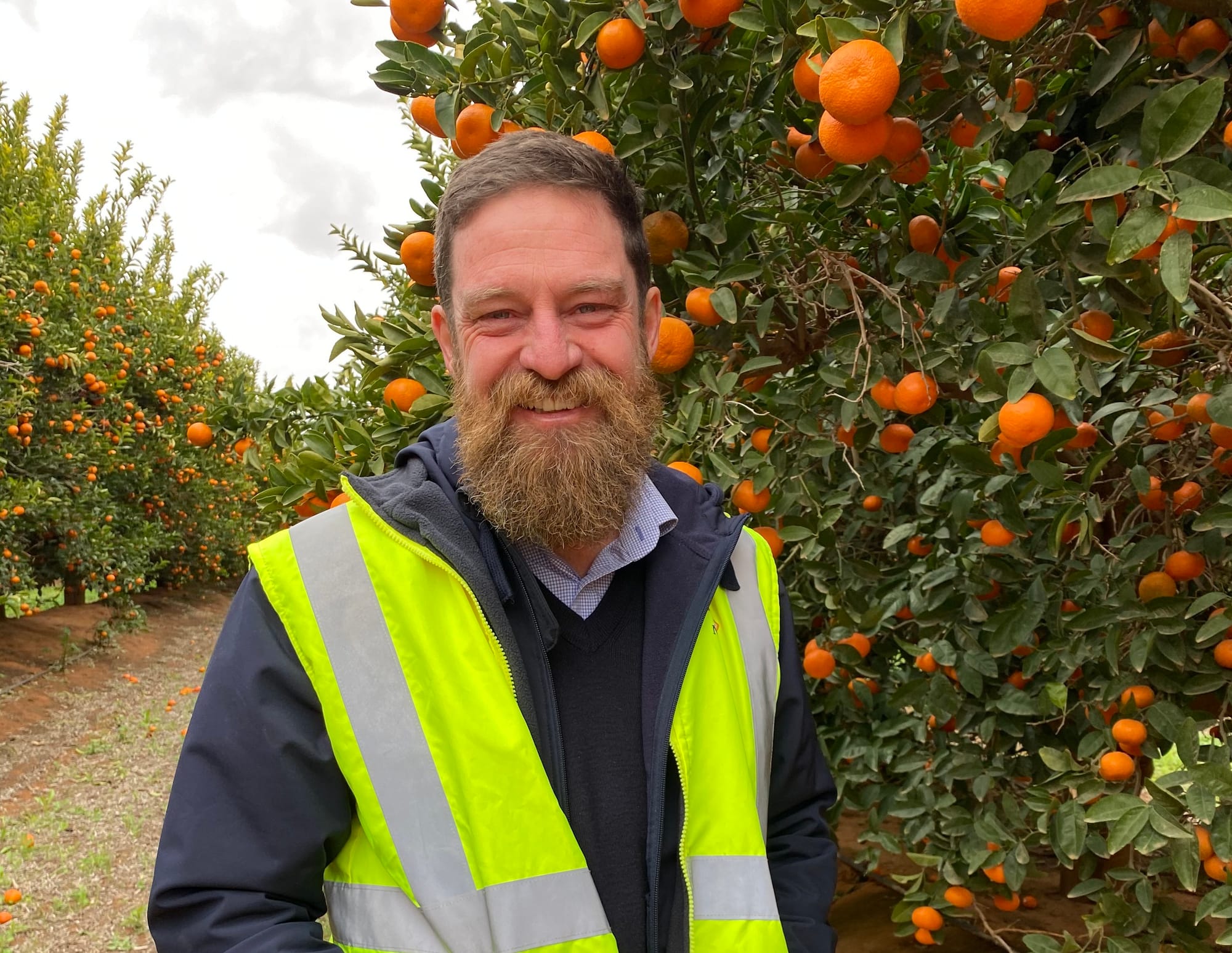Citrus quality, volumes improving in 2023 season