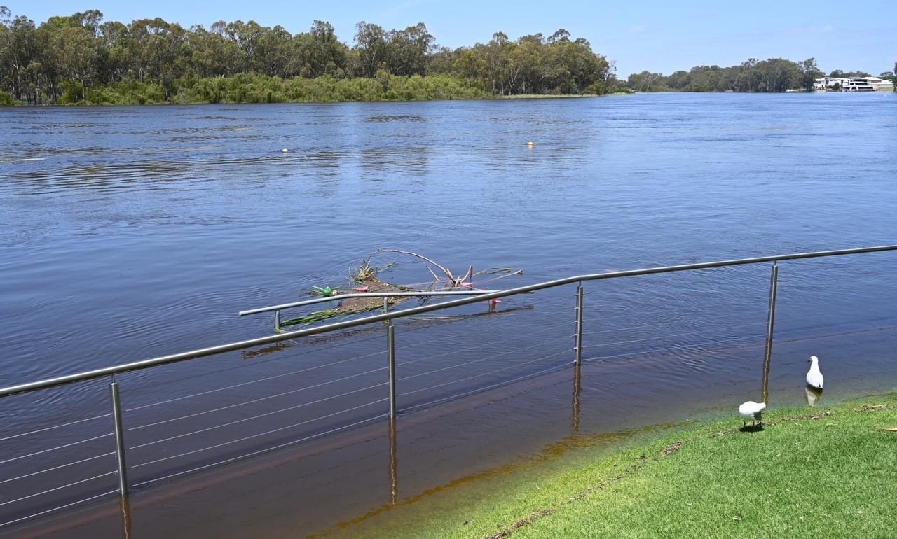 4-knot speed limit on river