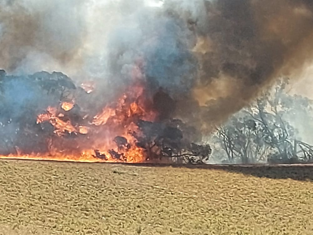 Lightning sparks 14 weekend fires