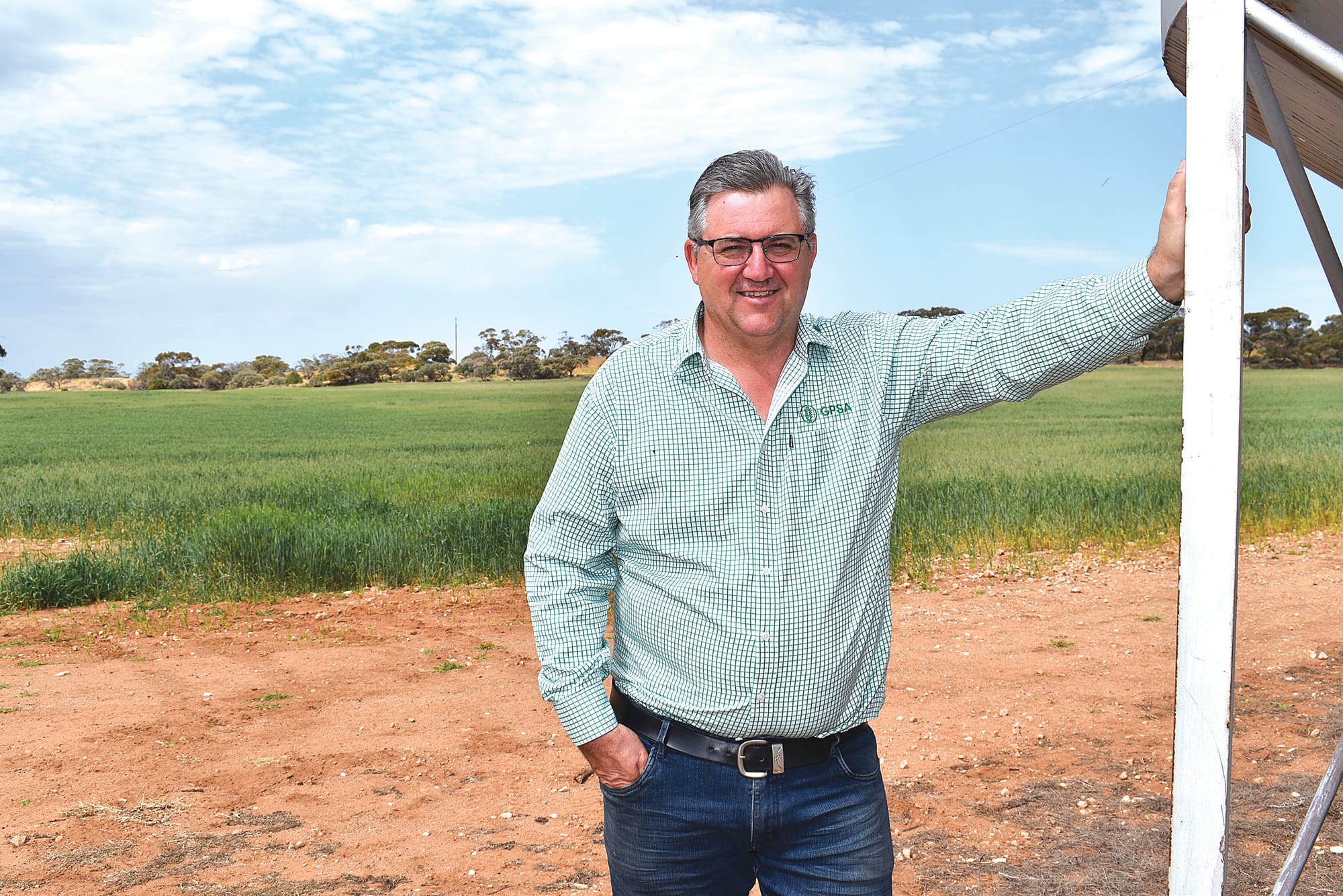 New local face for grain body