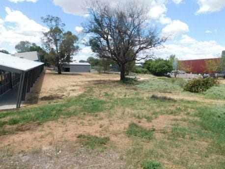 Tram’s $26K for cultural garden