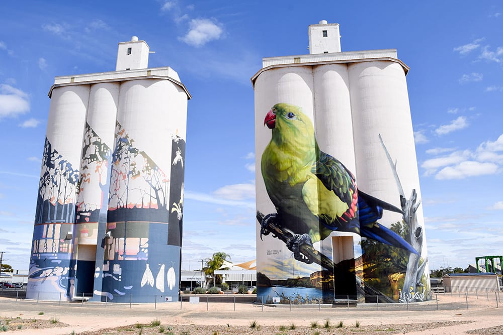 Silo art trademark risk