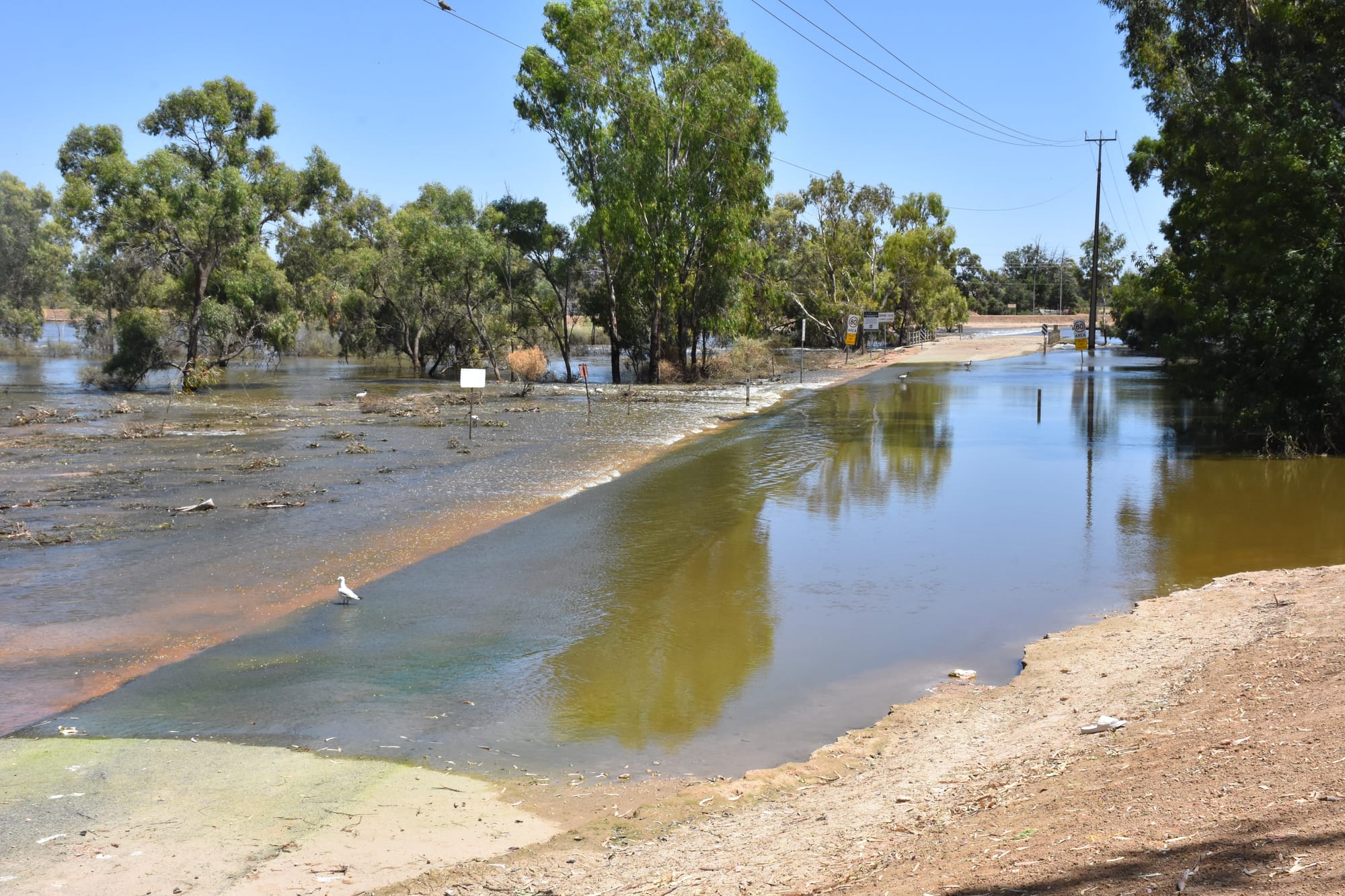 Virus detection prompts mosquito bite warning