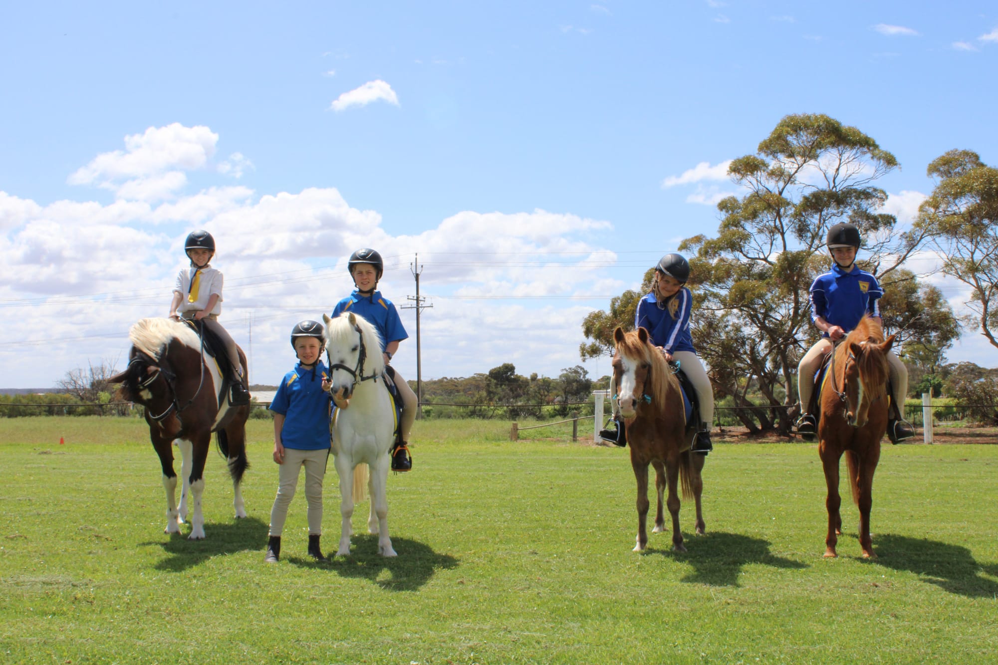 60 years of Waikerie Horse and Pony Club