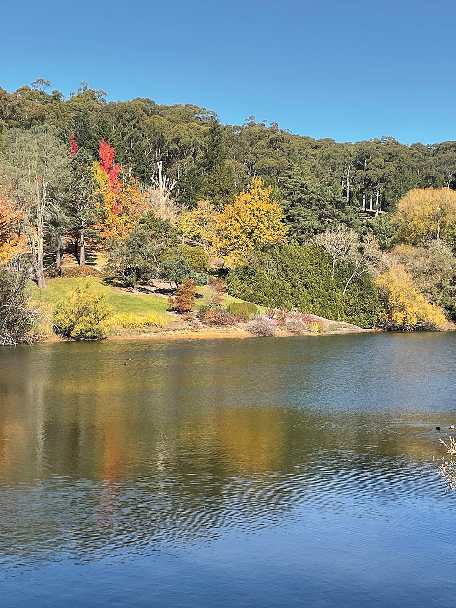 The fair-weather gardener