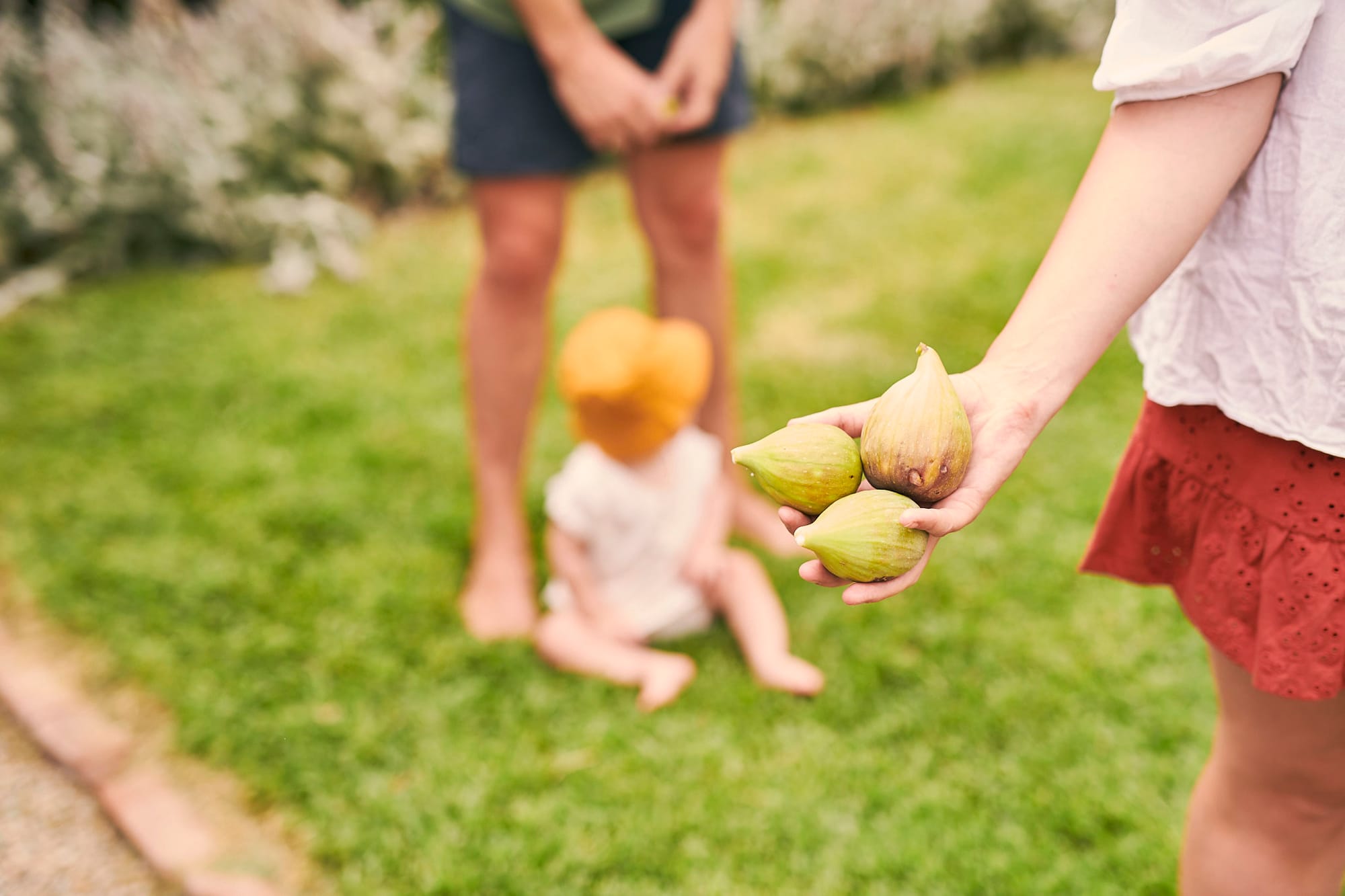 Local school holiday fruit fly reminder