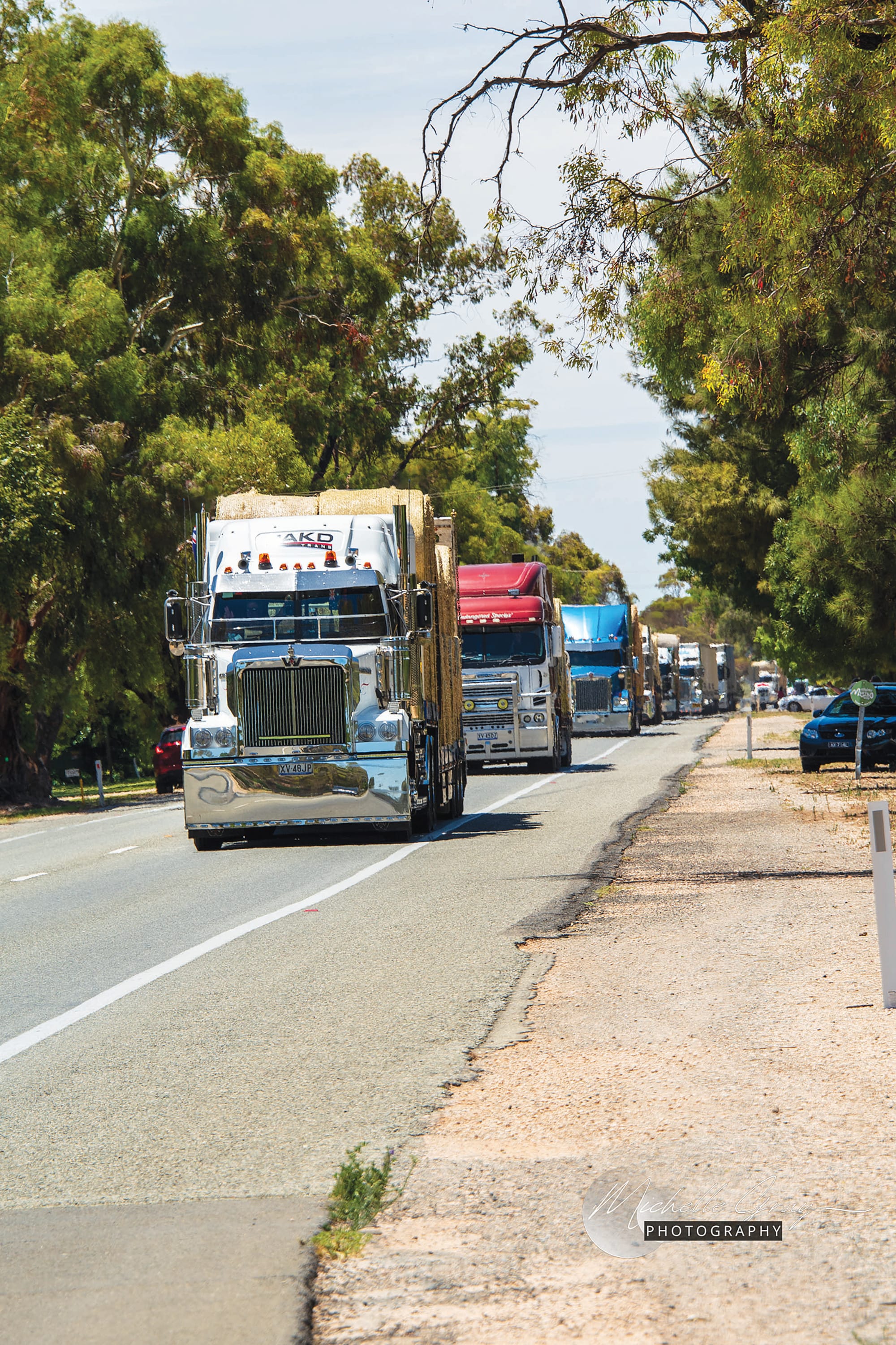 Renmark Lions support for hay runners