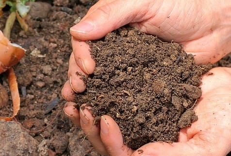 Soil measurement grant program opens