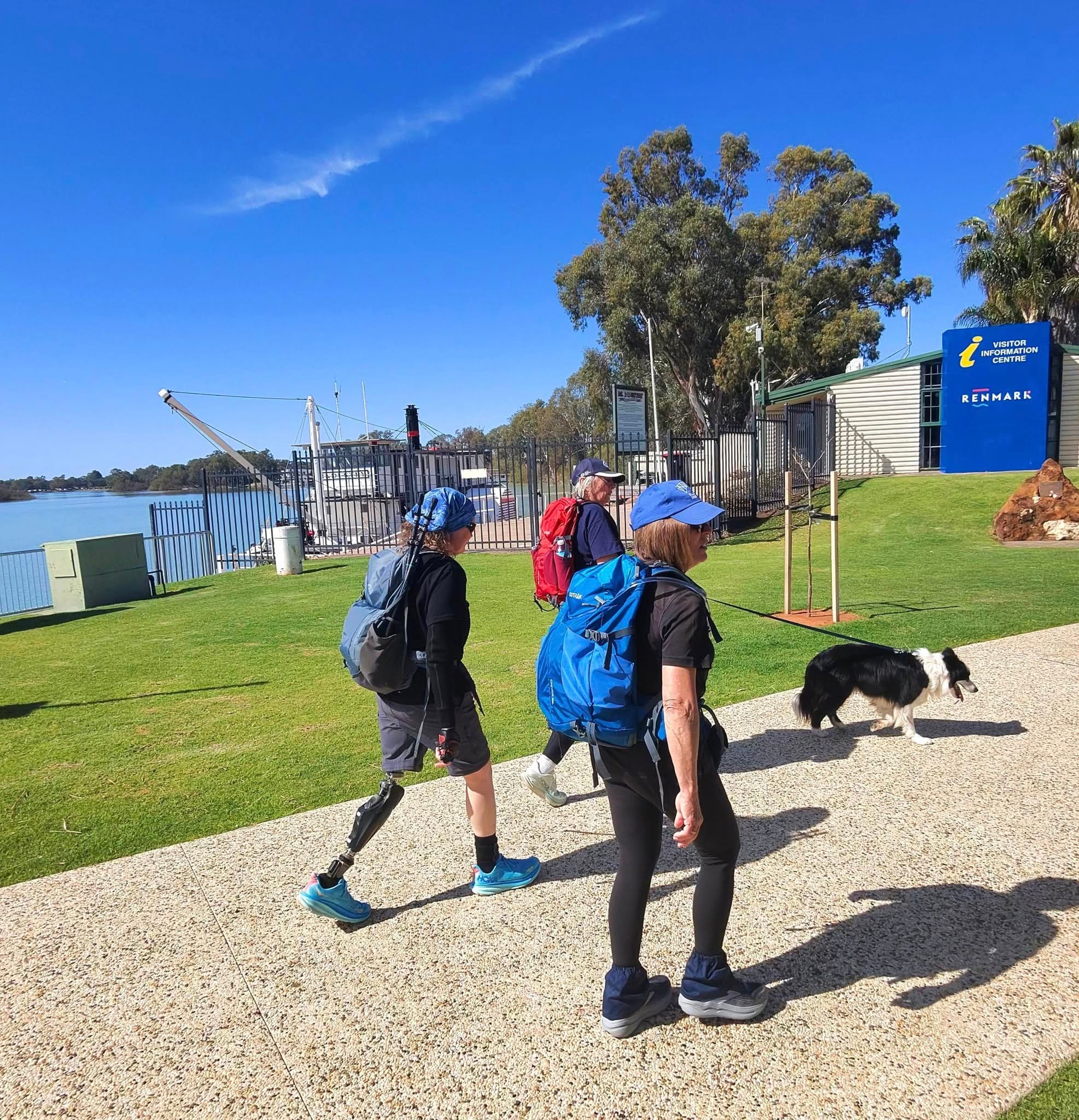 Locals take a walk on the wild side