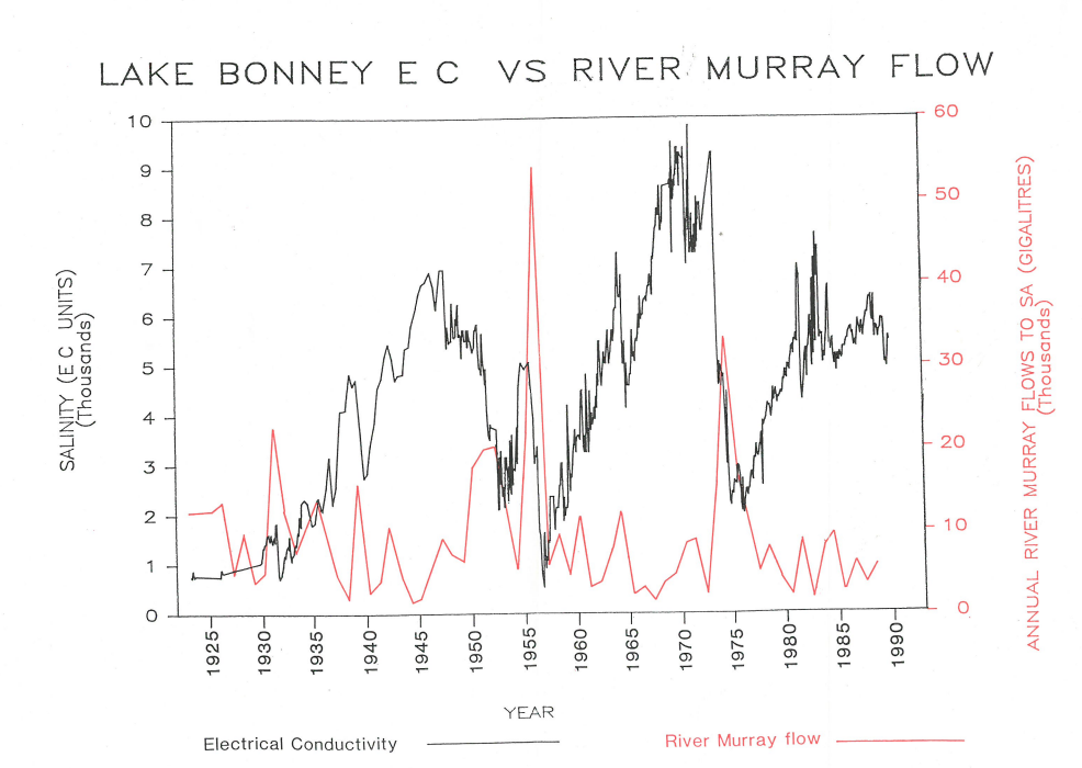 Lake’s soaring salinity ‘needs attention’