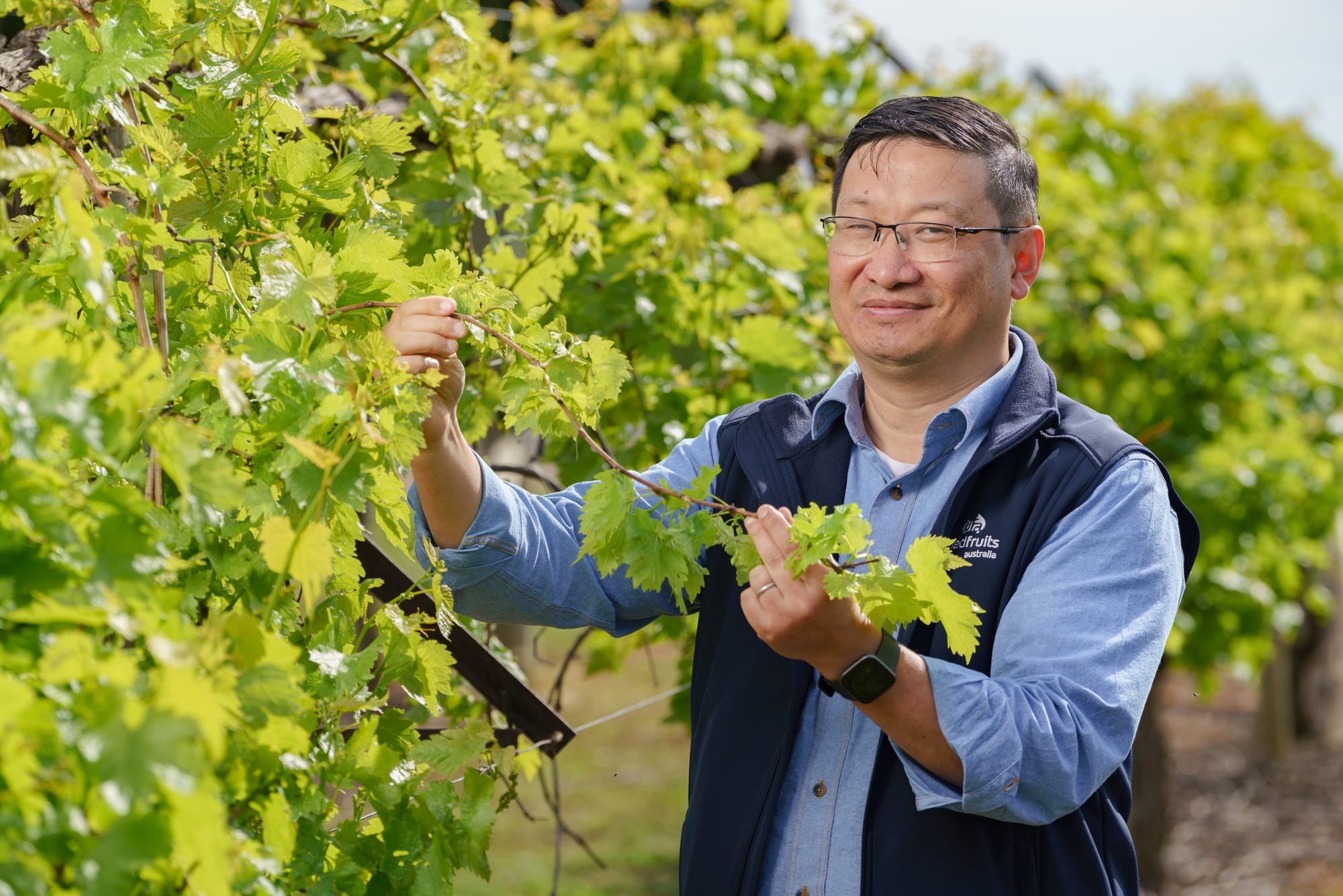 Local growers urged to participate in vote on dried fruit levy