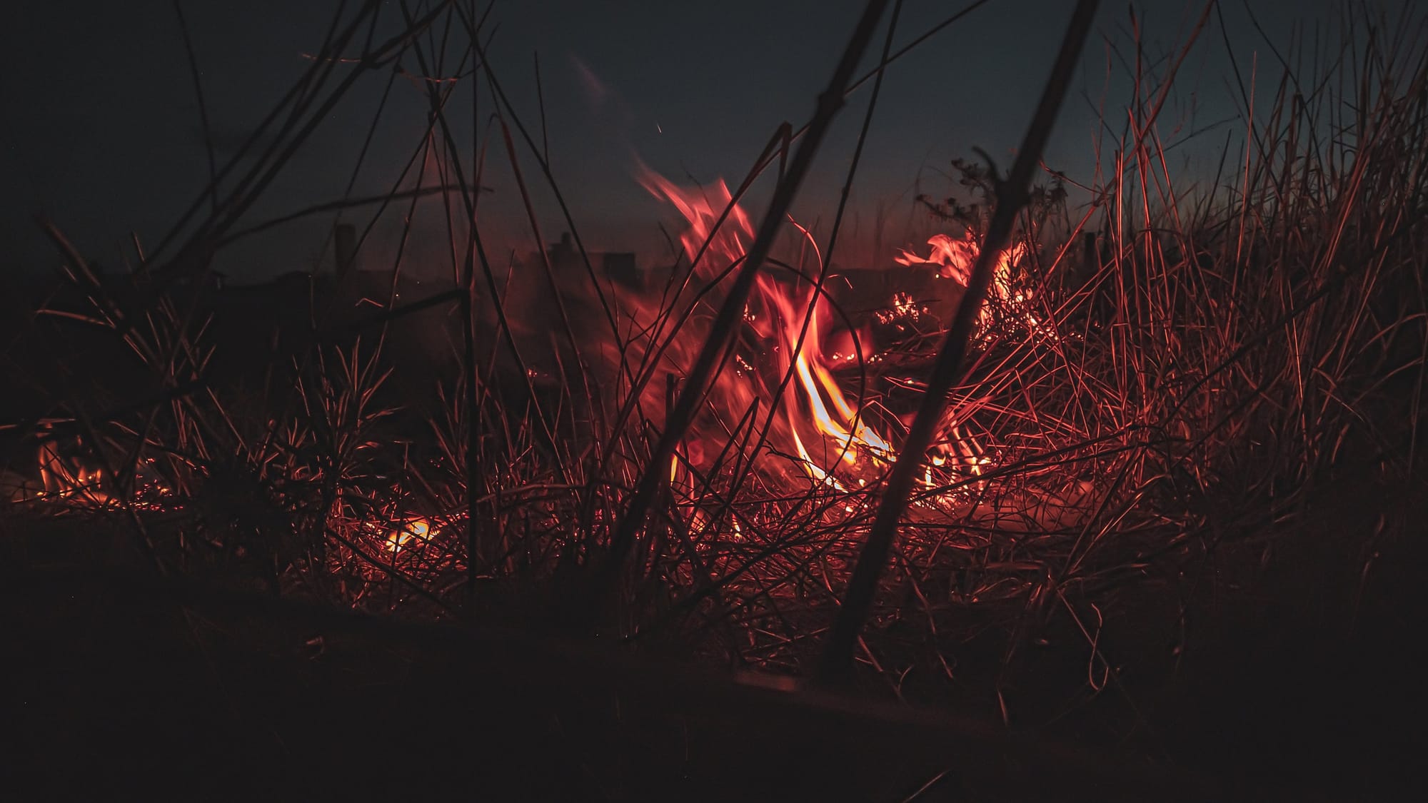 Police act on illegal burn offs at Riverland West