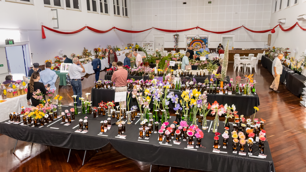 Waikerie’s ‘bright and beautiful’ flowers