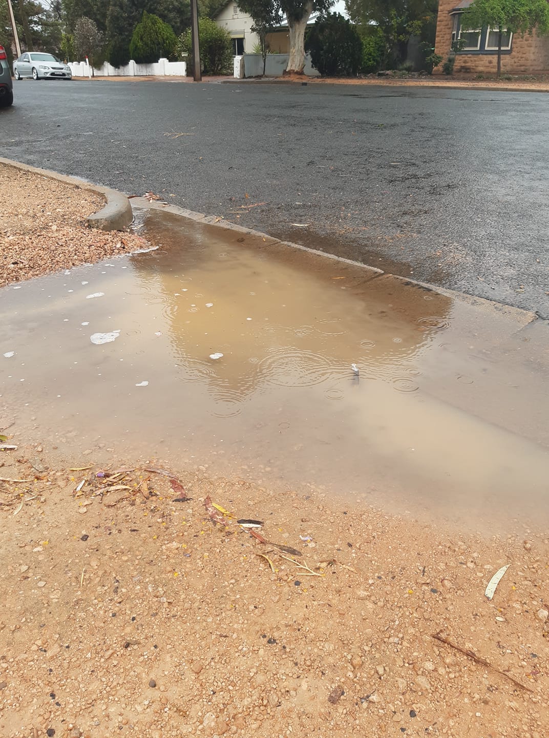 2020 rainfall improves following weekend downpour
