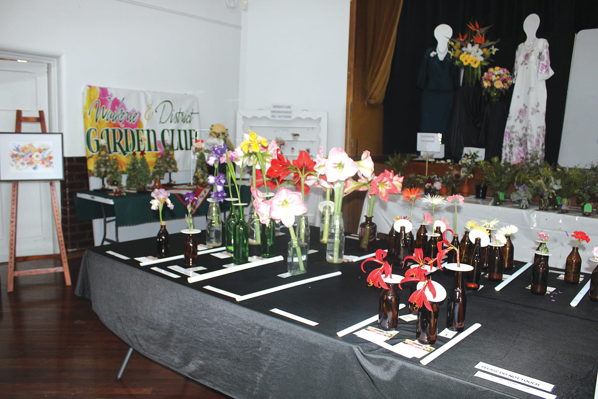 Region’s artistic talent on display