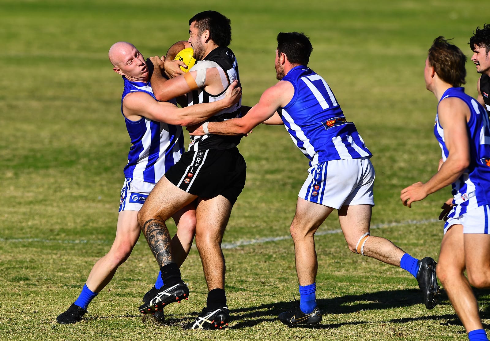 Renmark running away with it?