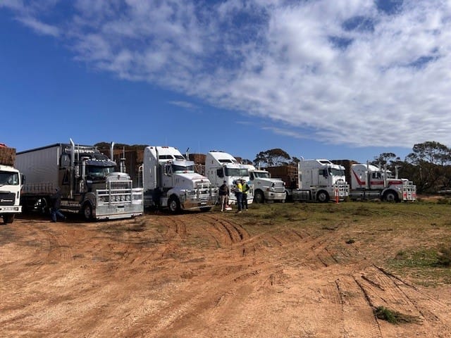 Massive hay donation brings relief to Riverland farmers