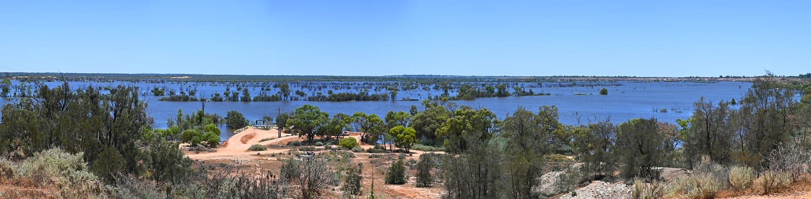 Flood’s environmental benefits emerging