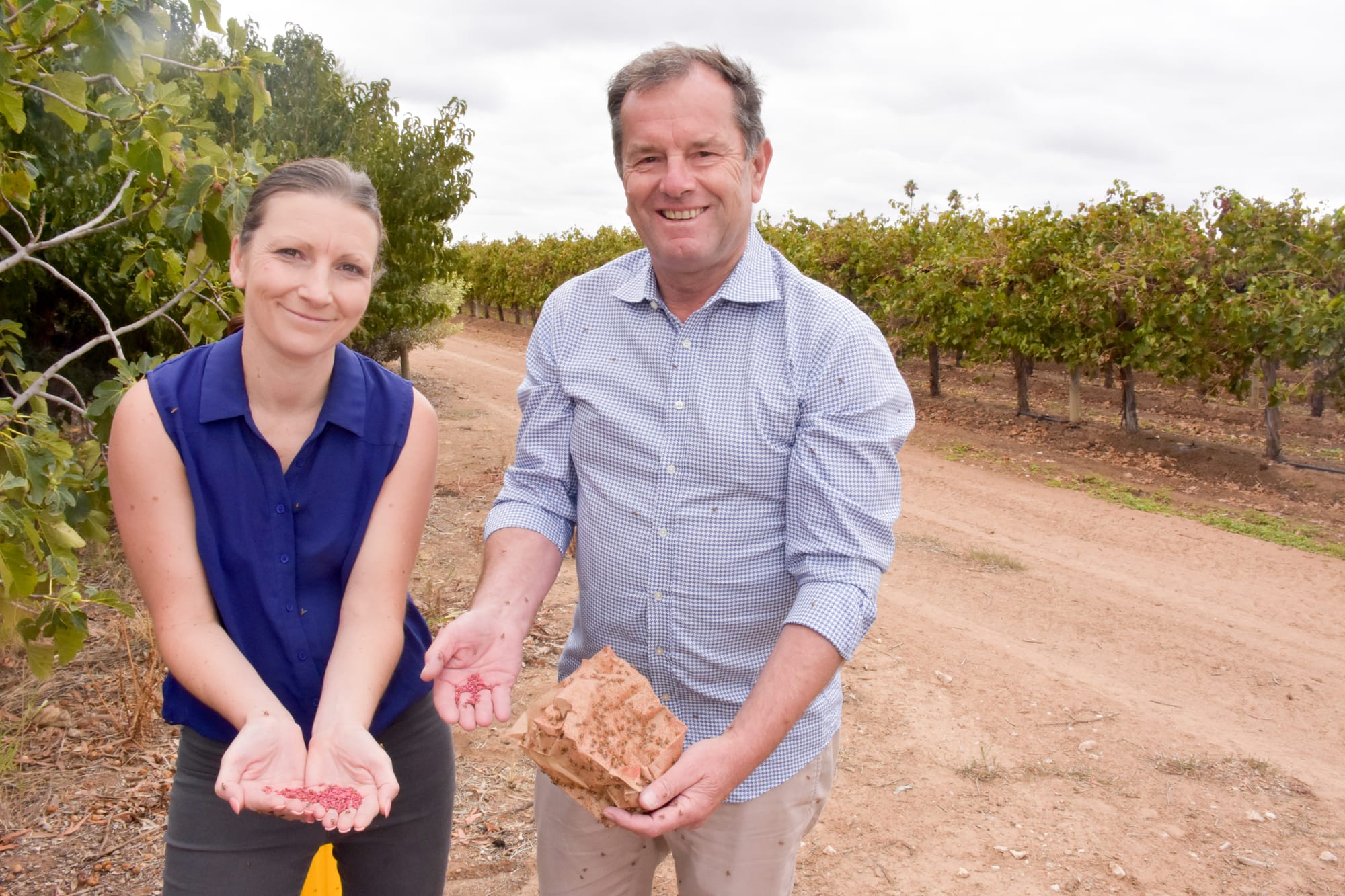 Co-operation necessary on fruit fly, says Tim