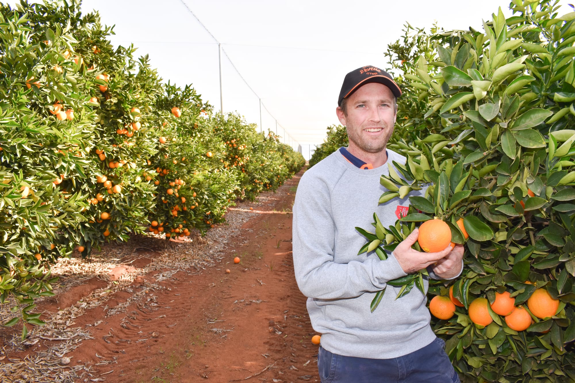 Citrus investment’s net result