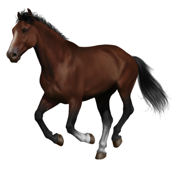 Jack’s Secret: A short story written by Brent Morrell