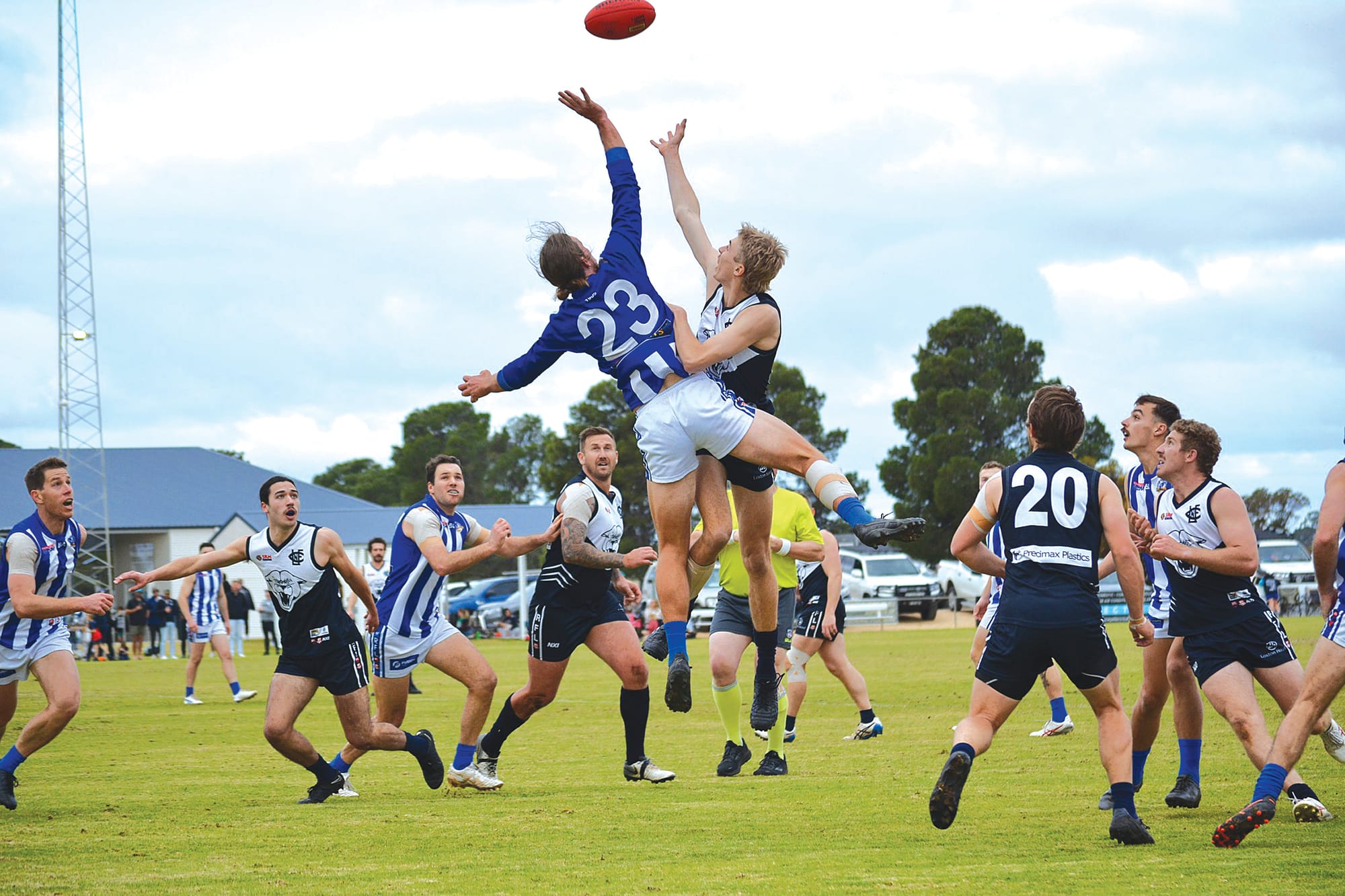 Panthers put down the Dogs