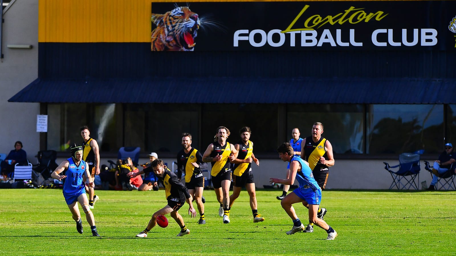 Tiger stalwart: Members unhappy