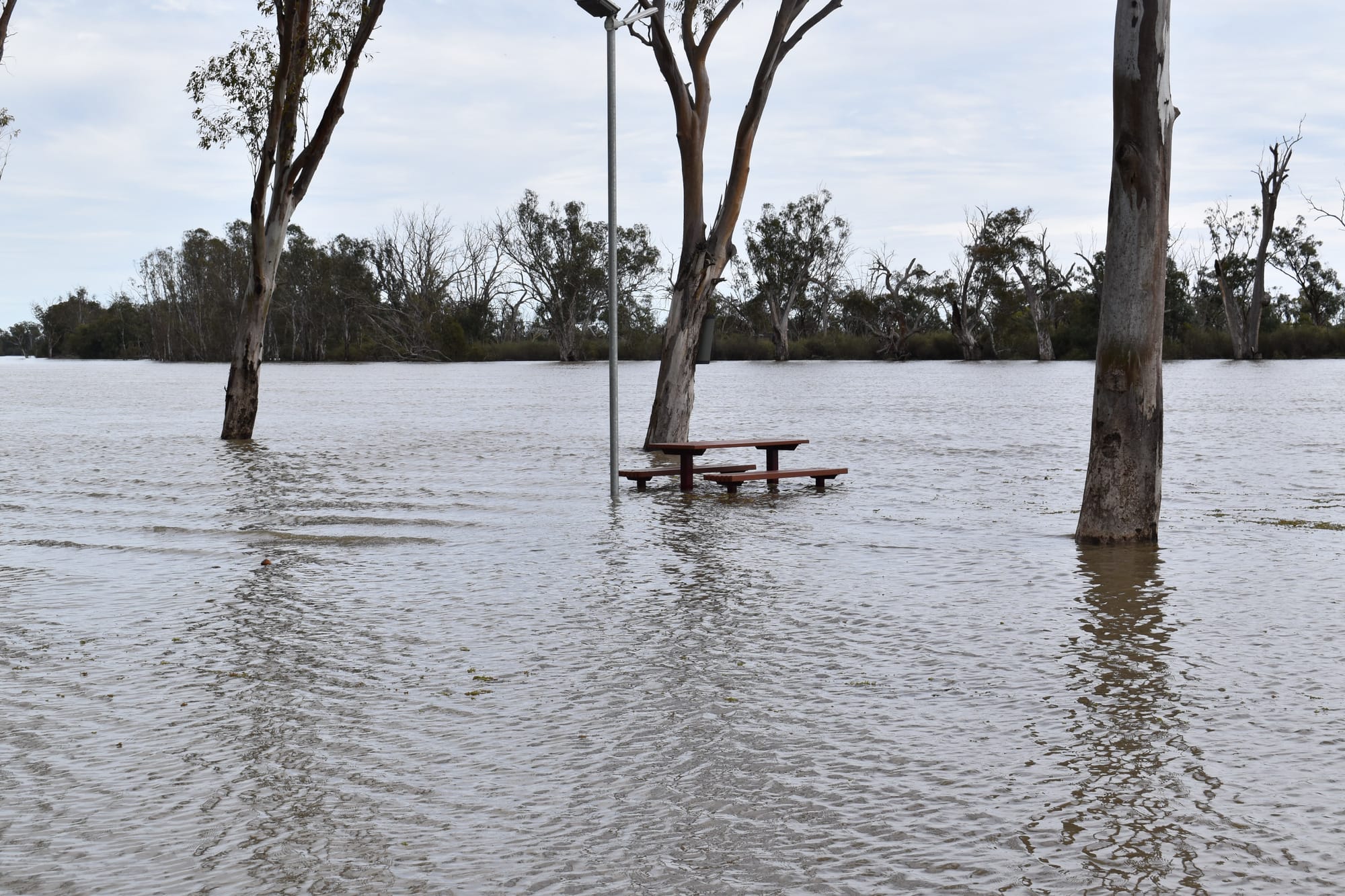 Government campaign to get Riverland flood-ready