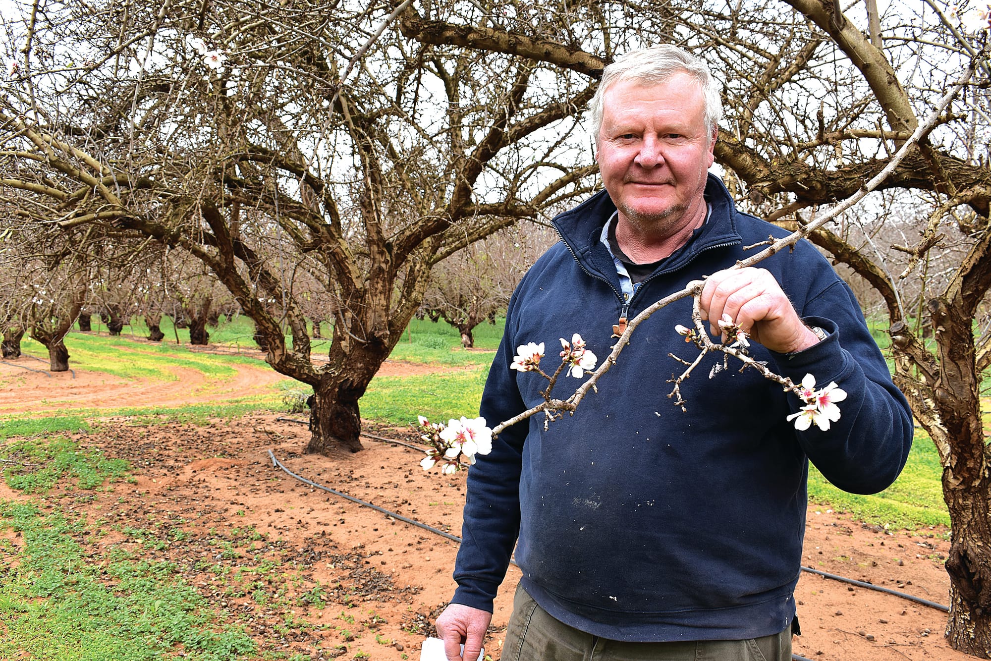 Wait and bee: Varroa mite restrictions lifted