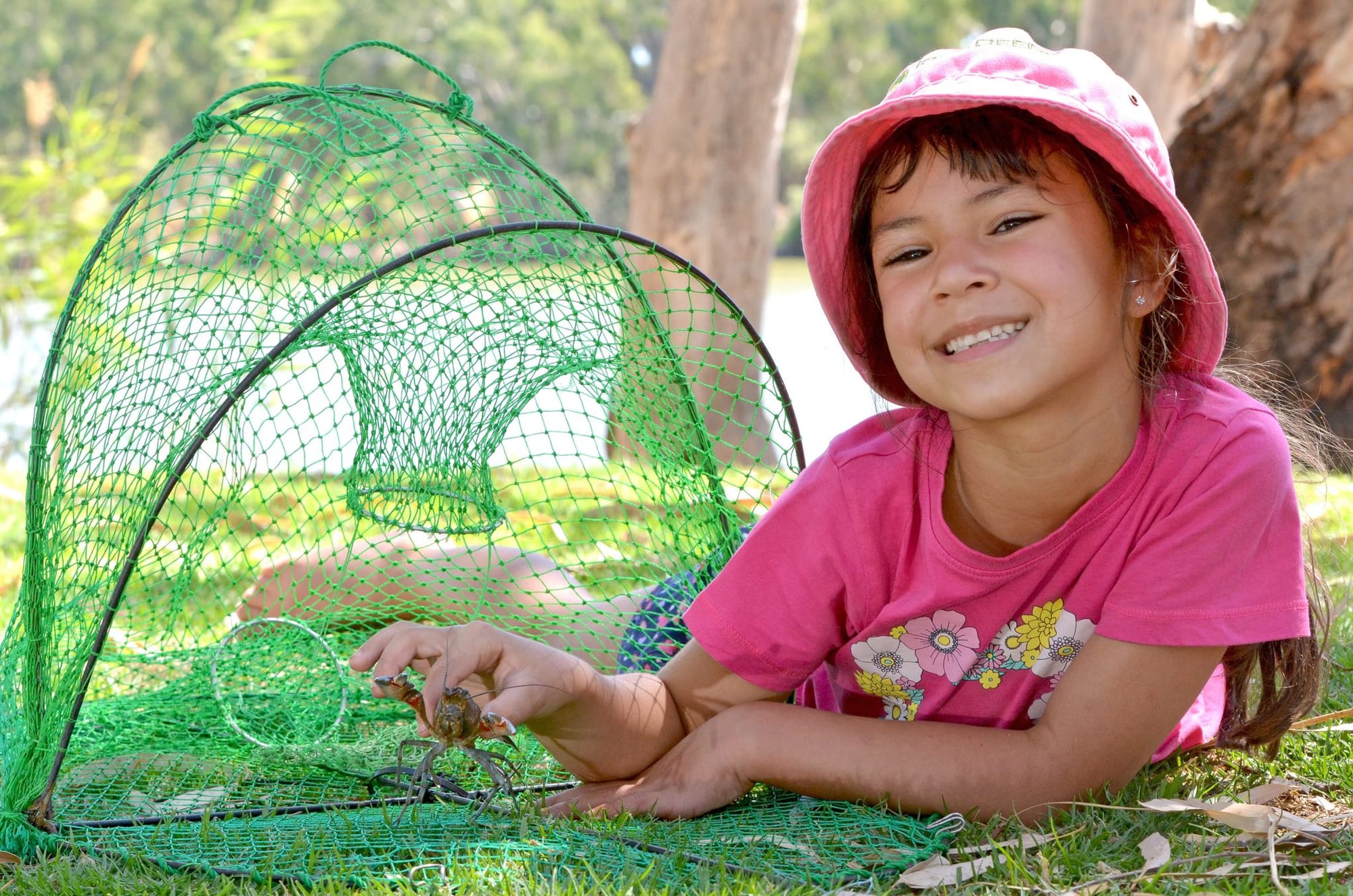 Nicola calls for net exchange program