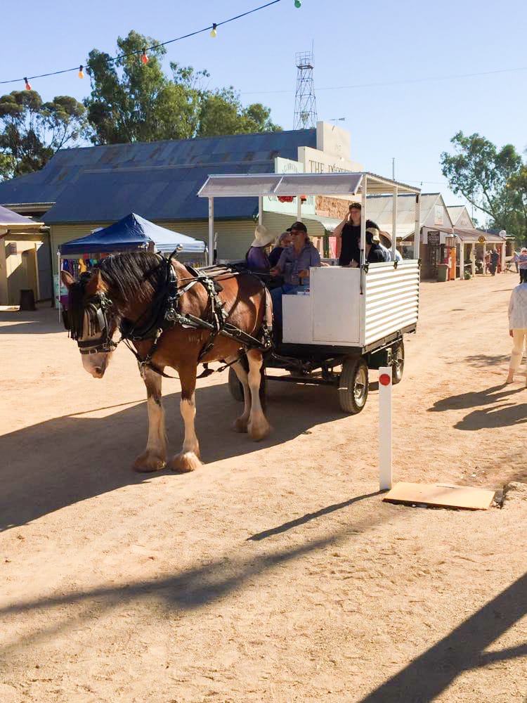 Loxton Alive and Garden Day held this weekend