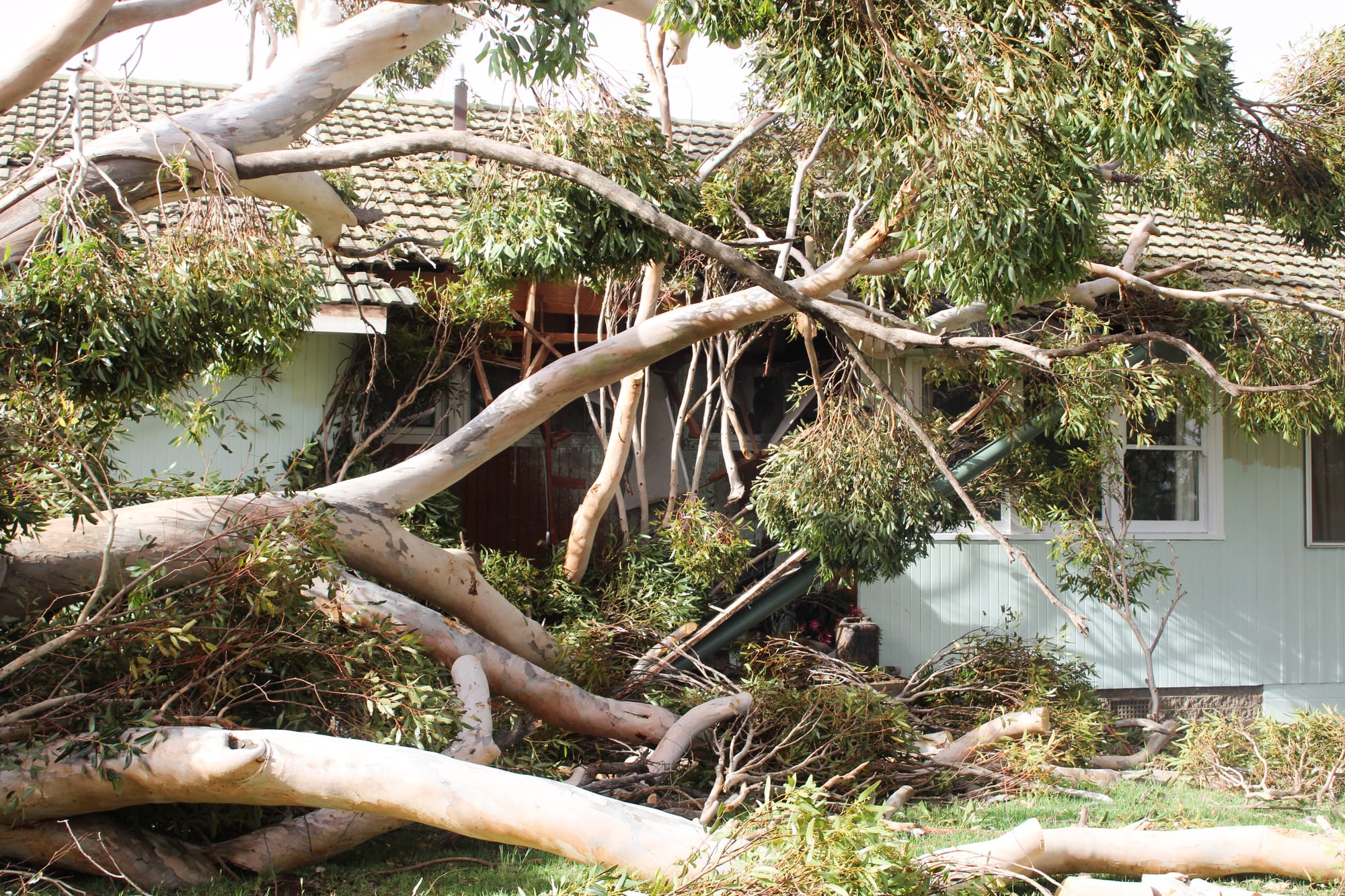 Support available after ‘savage’ storm