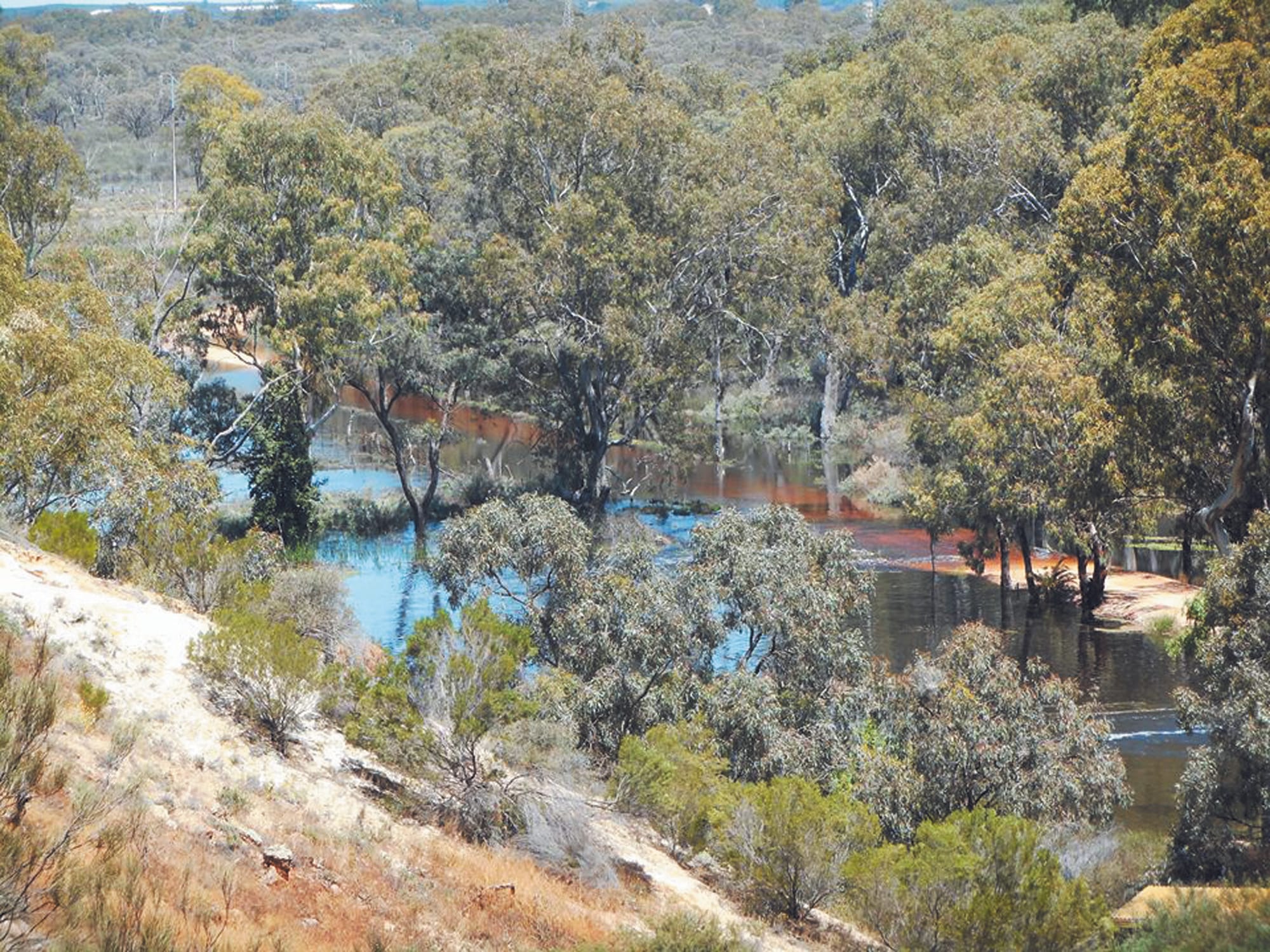Processes leading to 2026 Murray-Darling Basin Plan review unveiled