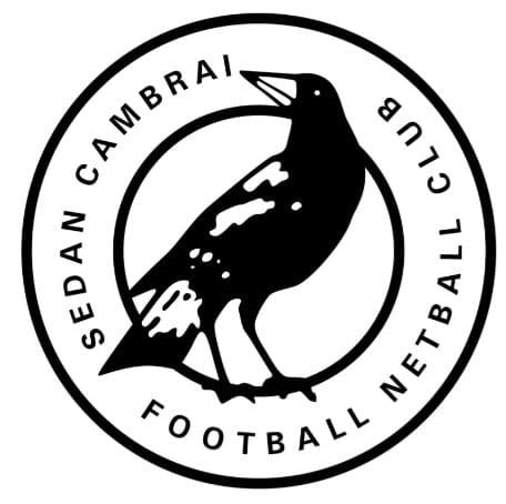Magpies begin hunt for new football coach