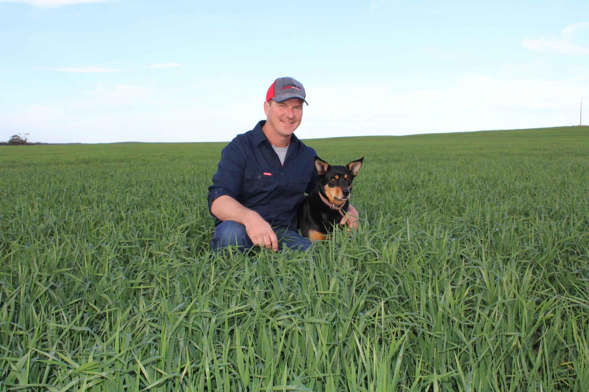 Farmers counting on more rainfall