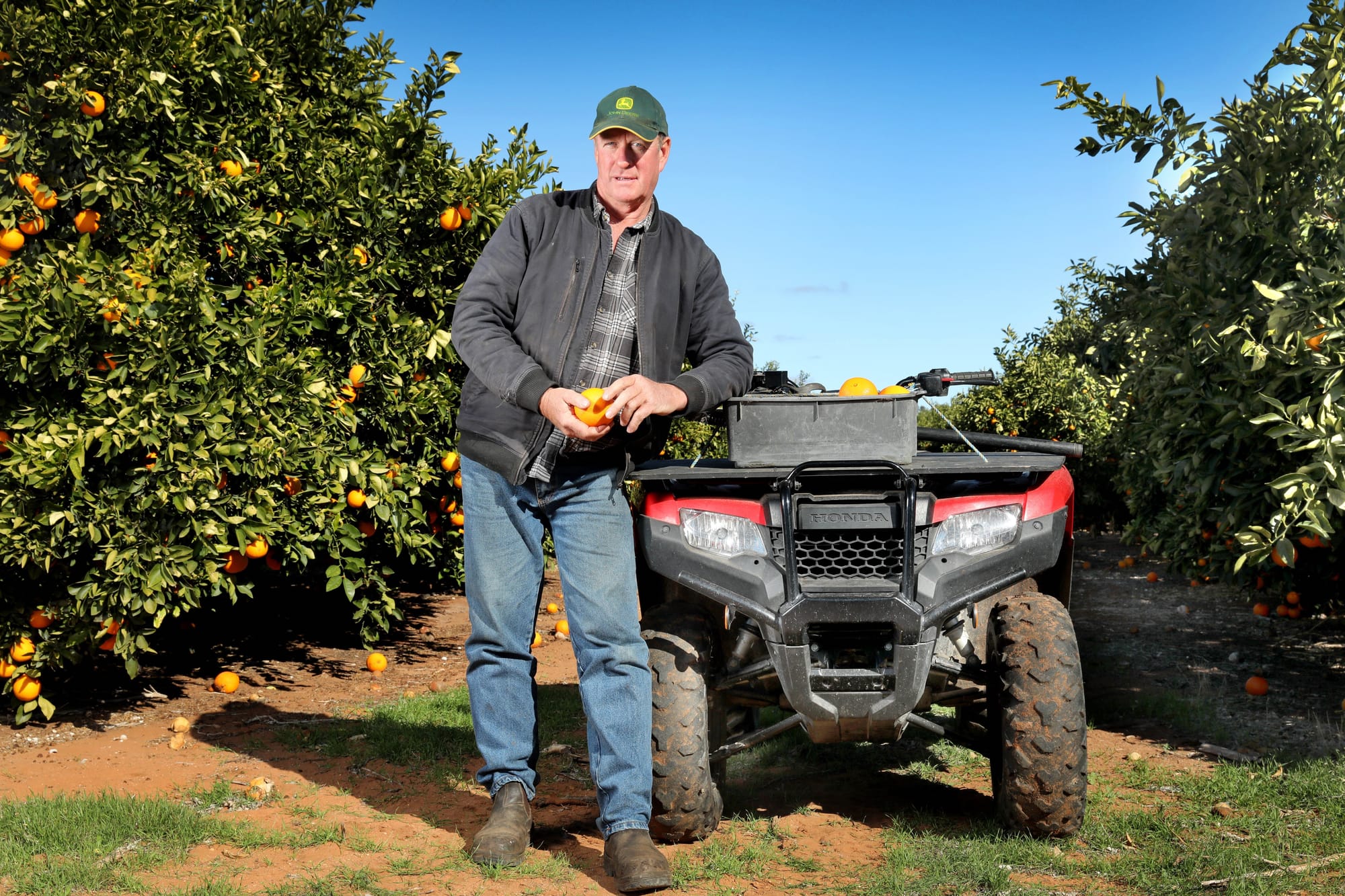 International shipping troubles to cost Riverland citrus growers dearly...ROTTEN TIMING