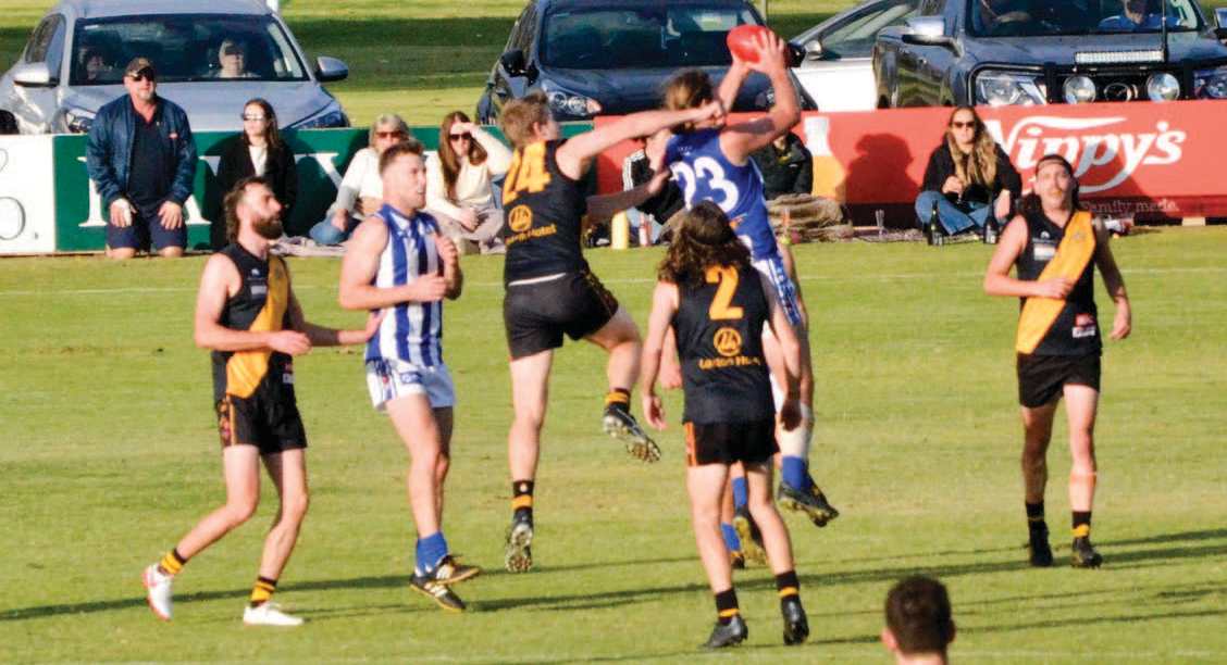 Rovers maul rattled Tigers at Loxton Oval