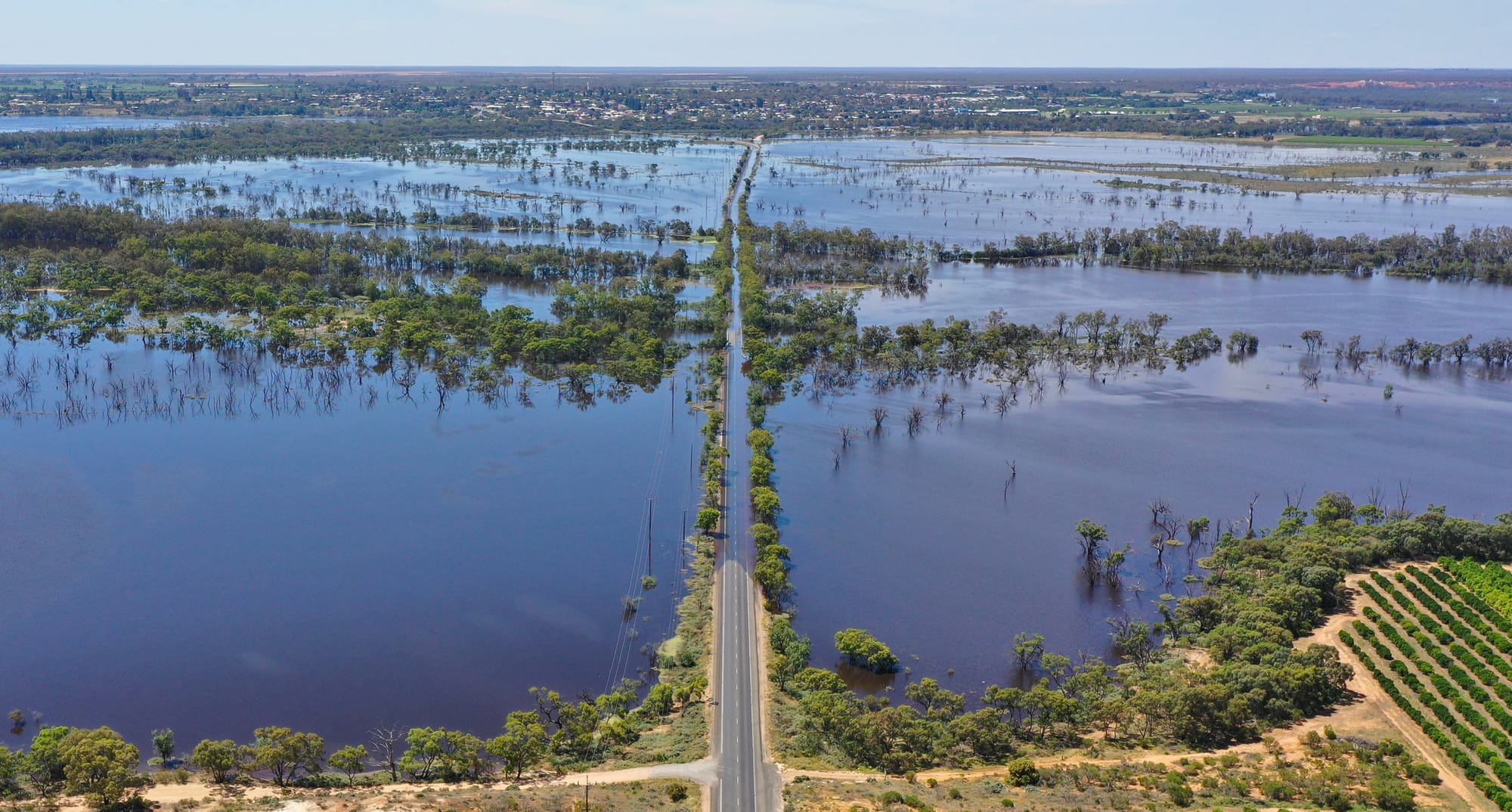 Repairs to close Bookpurnong Road?