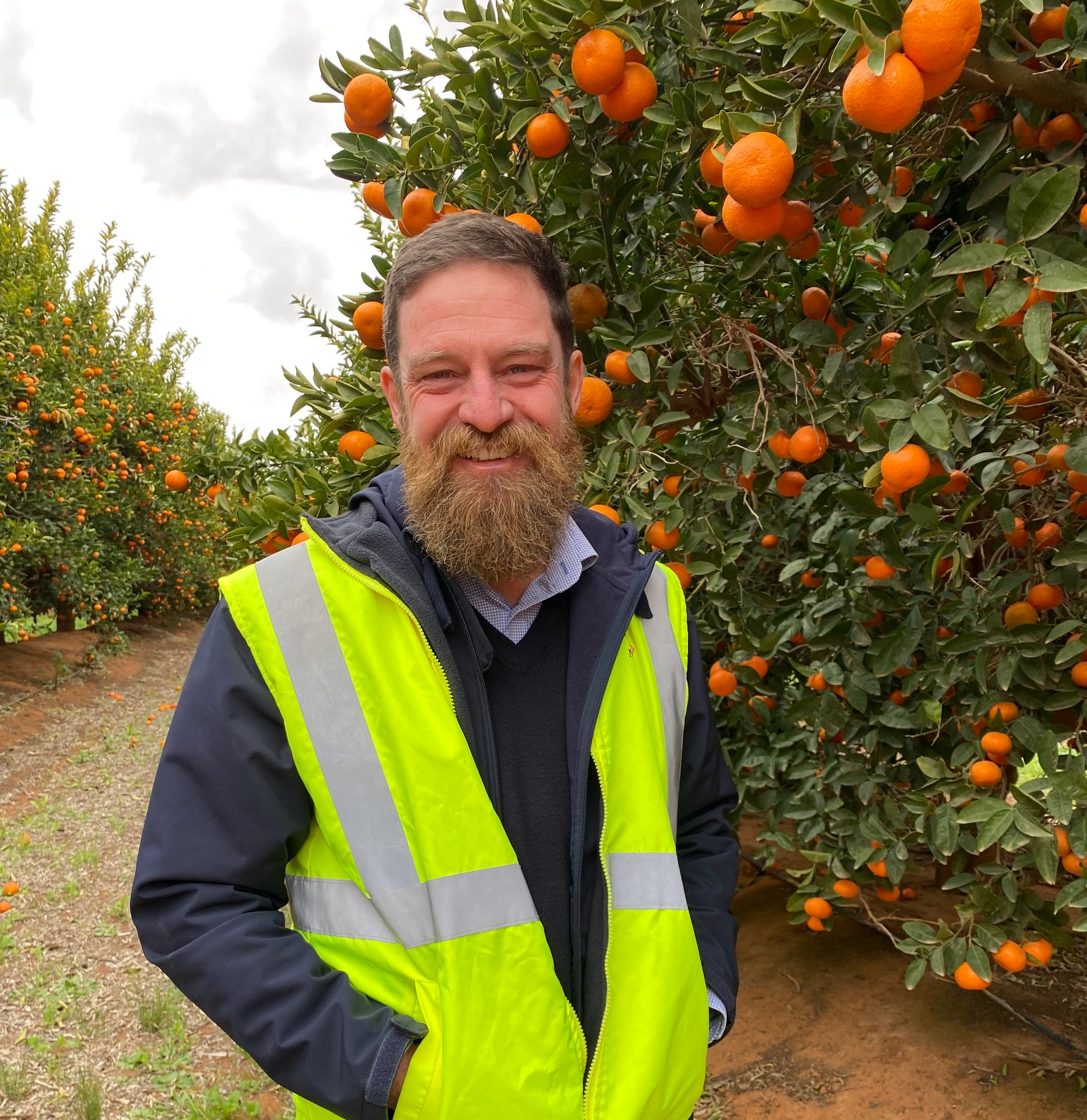 Citrus group’s buyback concerns