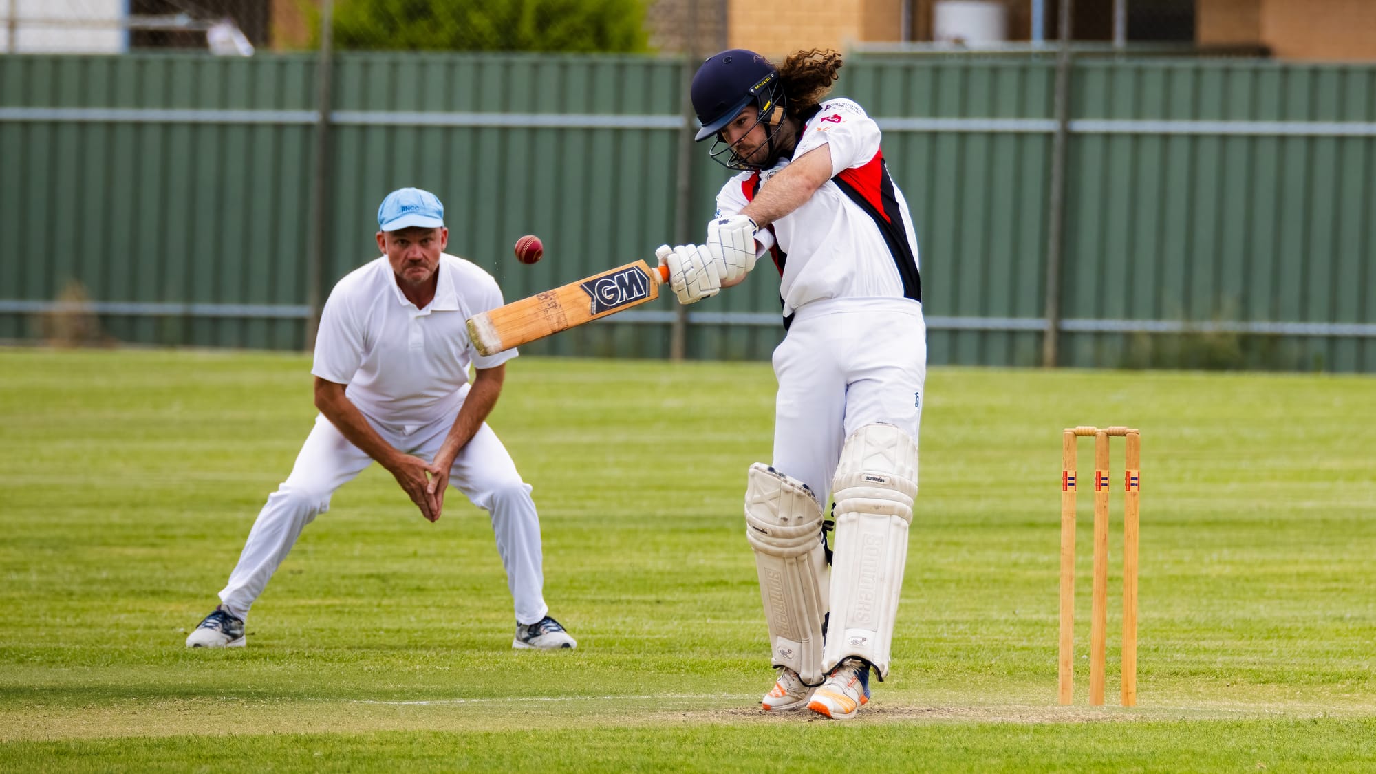 Tigers tamed as Bluetongues make winning start