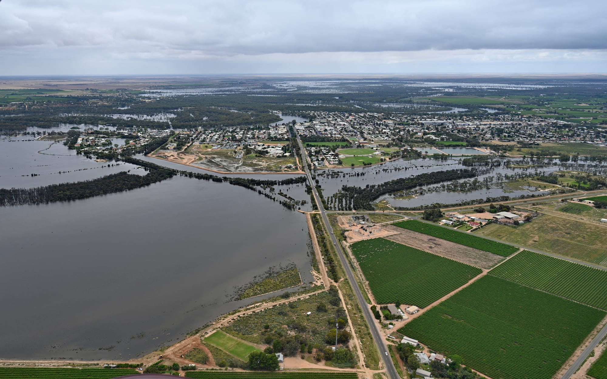 Renmark to avoid a flood crisis, Mr Tolley predicts
