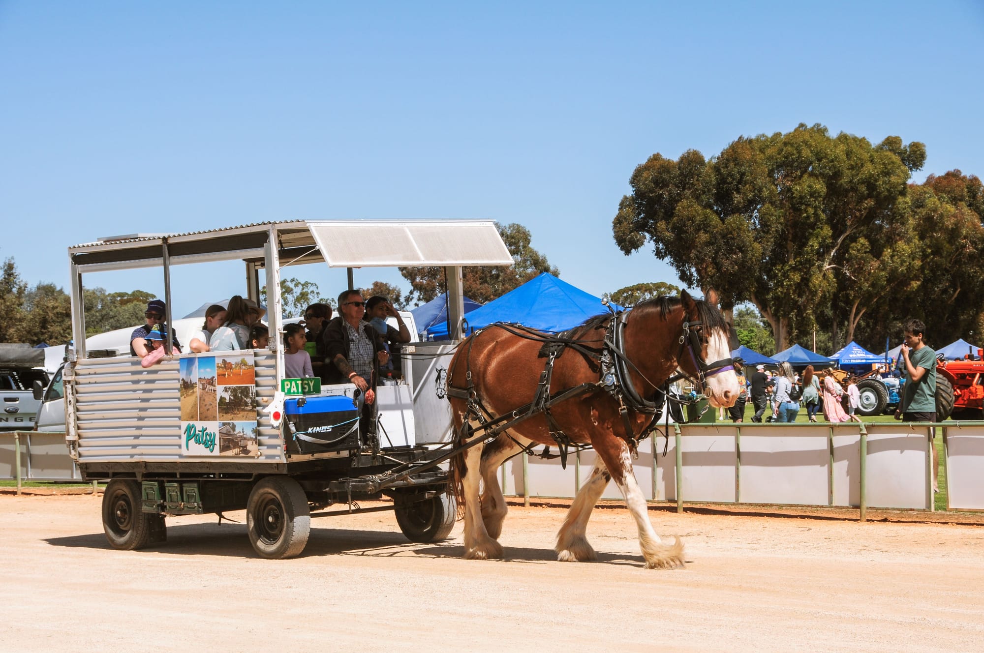 The show is on at Loxton