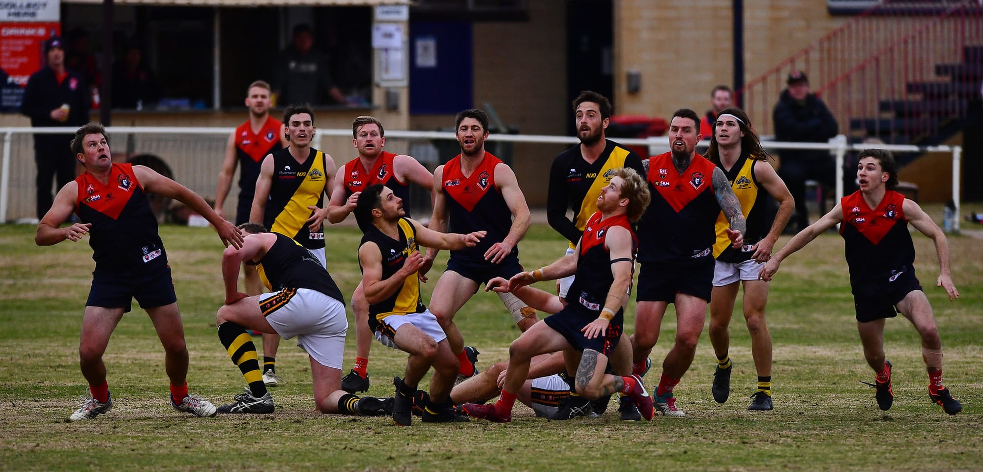 Cut-throat encounter at Panther Park